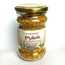 PKD.jpg