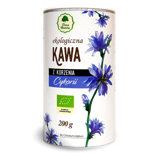 kawa z cykorii dn.jpg