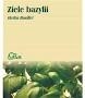 bazylia ziele.jpg