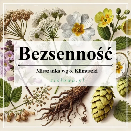 Bezsennosc1.webp