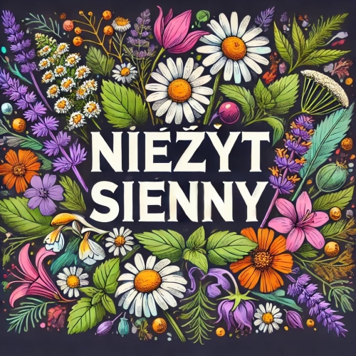 DALL·E 2024-11-27 16.36.02 - A vibrant and colorful illustration of various herbs, including chamomile, nettle, lavender, and mint, arranged in a lively and artistic composition. .jpg
