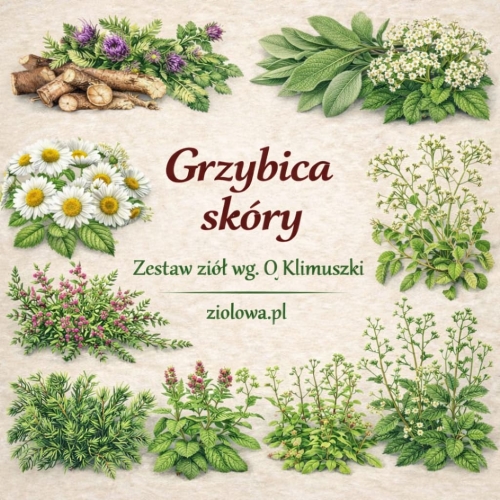 Zioła według Ojca Klimuszki.jpg