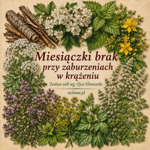 ChatGPT Image 11 cze 2026, 09_53_06.jpg