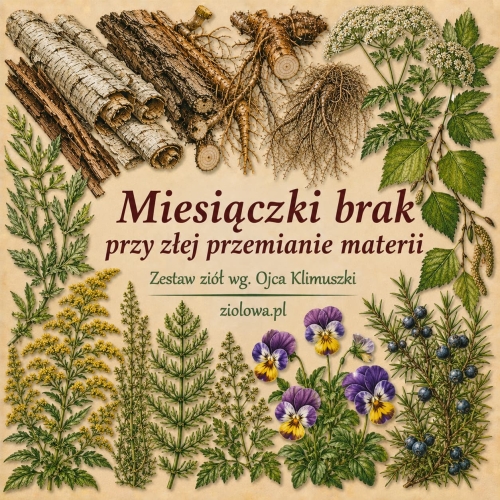 ChatGPT Image 11 cze 2026, 10_02_15.jpg