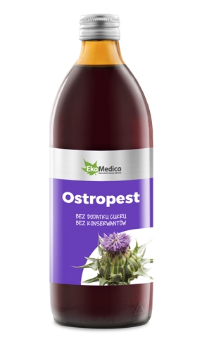 ostropest-kopia.jpg