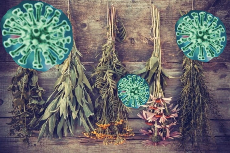 W WALCE Z WIRUSAMI.jpg