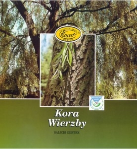 f19b14006fad364d1d5068d5c3d83629d605a06c